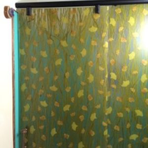 awesomeNEW!BEAUTIFUL SHOWER DOOR/ART/BARN door?